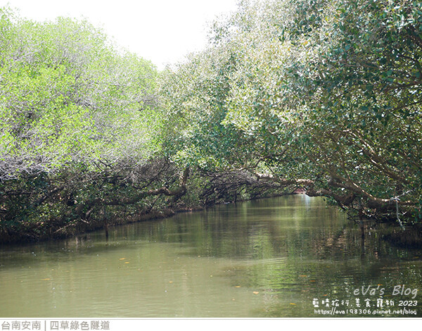 四草綠色隧道-27.jpg