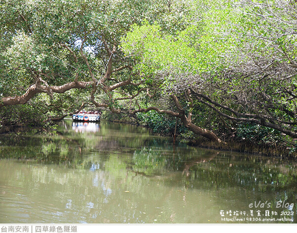 四草綠色隧道-26.jpg