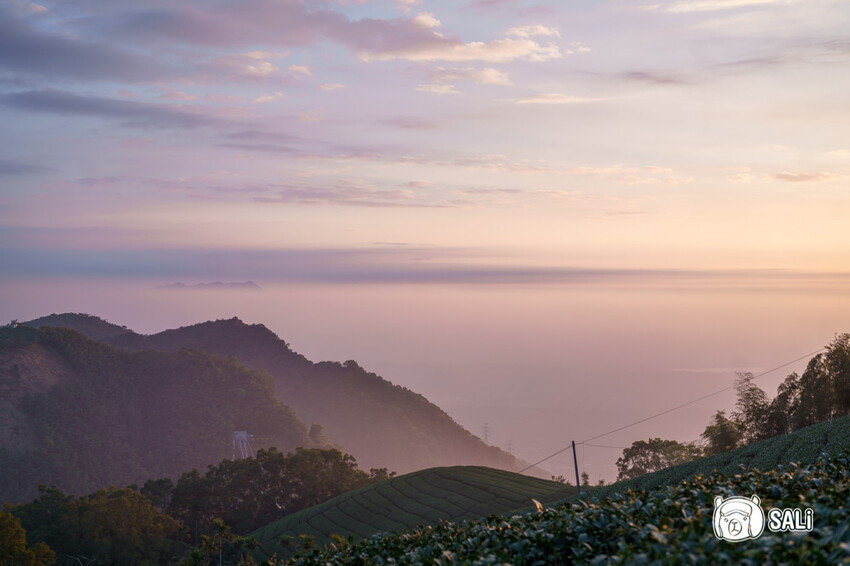 嘉義特色漫遊這樣玩|162觀光軸線旅程,太平雲梯、雲之南茶園步道、太平老街、阿里山小火車,賞梅品茶,入住特色民宿 - 莎笠,小日子