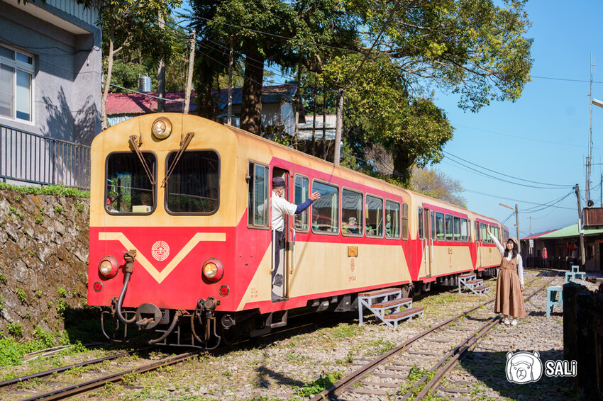 嘉義特色漫遊這樣玩|162觀光軸線旅程,太平雲梯、雲之南茶園步道、太平老街、阿里山小火車,賞梅品茶,入住特色民宿 - 莎笠,小日子