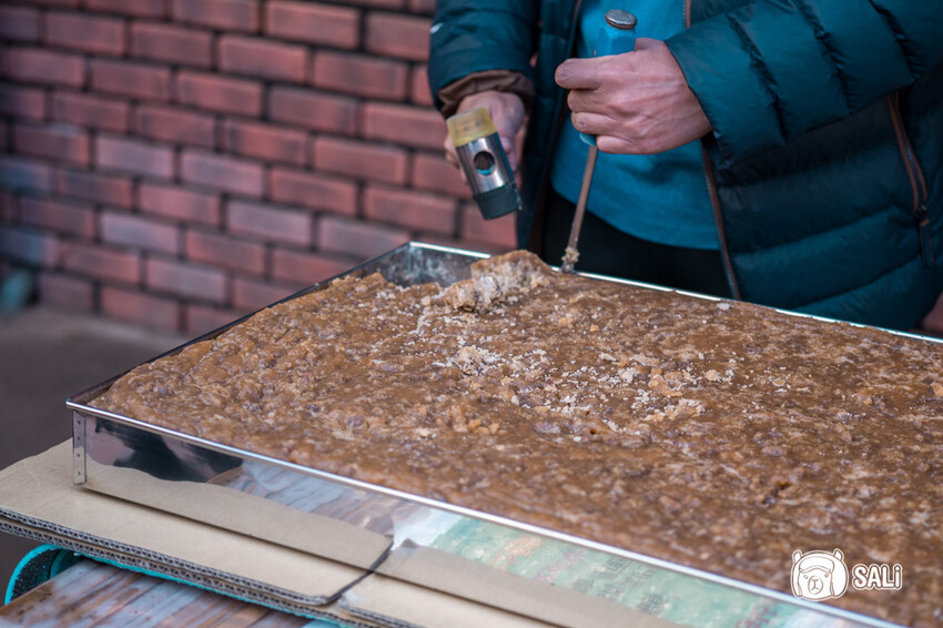 嘉義特色漫遊這樣玩|162觀光軸線旅程,太平雲梯、雲之南茶園步道、太平老街、阿里山小火車,賞梅品茶,入住特色民宿 - 莎笠,小日子