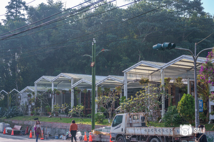 嘉義特色漫遊這樣玩|162觀光軸線旅程,太平雲梯、雲之南茶園步道、太平老街、阿里山小火車,賞梅品茶,入住特色民宿 - 莎笠,小日子