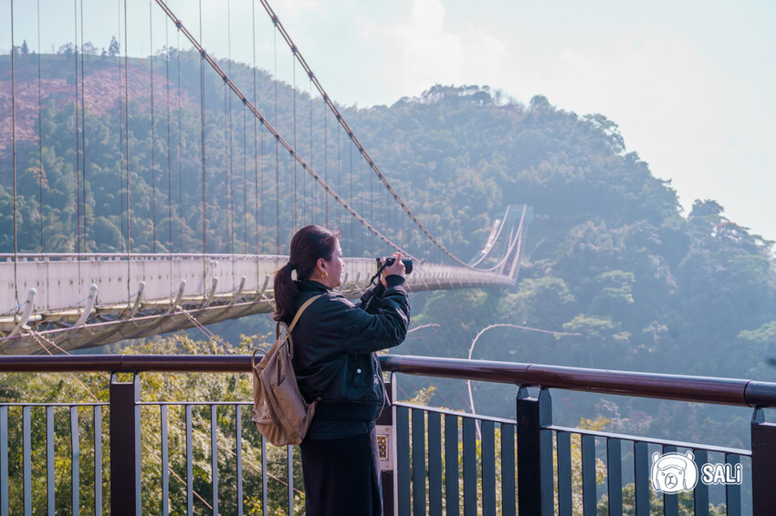 嘉義特色漫遊這樣玩|162觀光軸線旅程,太平雲梯、雲之南茶園步道、太平老街、阿里山小火車,賞梅品茶,入住特色民宿 - 莎笠,小日子