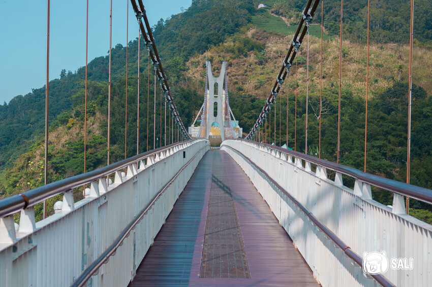 嘉義特色漫遊這樣玩|162觀光軸線旅程,太平雲梯、雲之南茶園步道、太平老街、阿里山小火車,賞梅品茶,入住特色民宿 - 莎笠,小日子