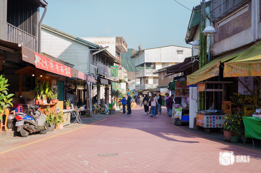 嘉義特色漫遊這樣玩|162觀光軸線旅程,太平雲梯、雲之南茶園步道、太平老街、阿里山小火車,賞梅品茶,入住特色民宿 - 莎笠,小日子