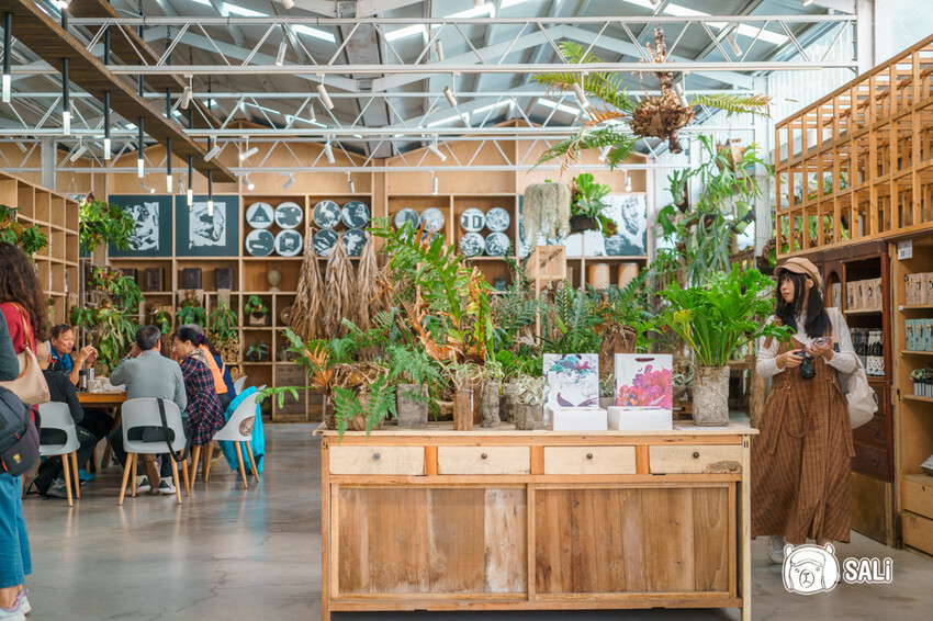 嘉義特色漫遊這樣玩|162觀光軸線旅程,太平雲梯、雲之南茶園步道、太平老街、阿里山小火車,賞梅品茶,入住特色民宿 - 莎笠,小日子