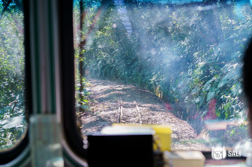 嘉義特色漫遊這樣玩|162觀光軸線旅程,太平雲梯、雲之南茶園步道、太平老街、阿里山小火車,賞梅品茶,入住特色民宿 - 莎笠,小日子