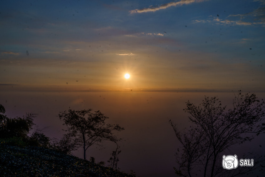 嘉義特色漫遊這樣玩|162觀光軸線旅程,太平雲梯、雲之南茶園步道、太平老街、阿里山小火車,賞梅品茶,入住特色民宿 - 莎笠,小日子