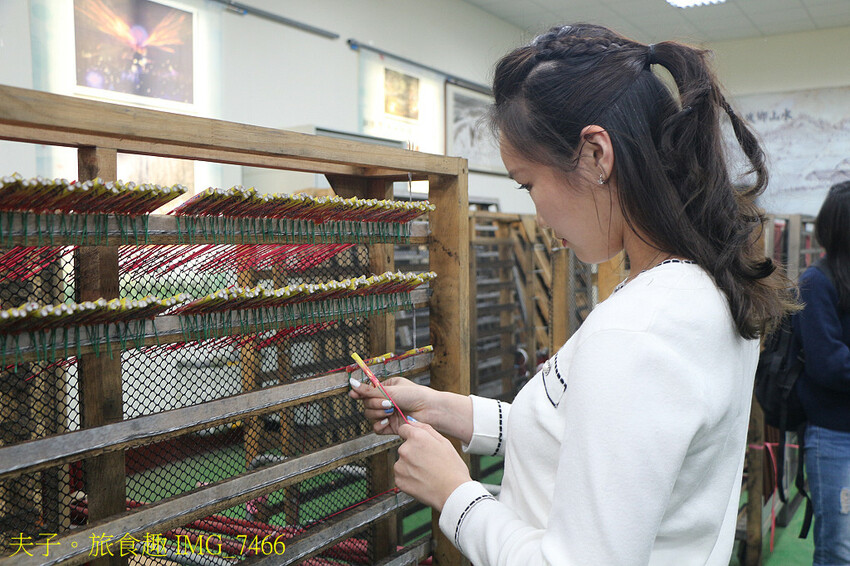 鹽水小鎮輕旅行 番茄採果 X 鹽水意麵 X 鹽水武廟 X 台 鹽水小鎮輕旅行 番茄採果 X 鹽水意麵 X 鹽水武廟 X 台