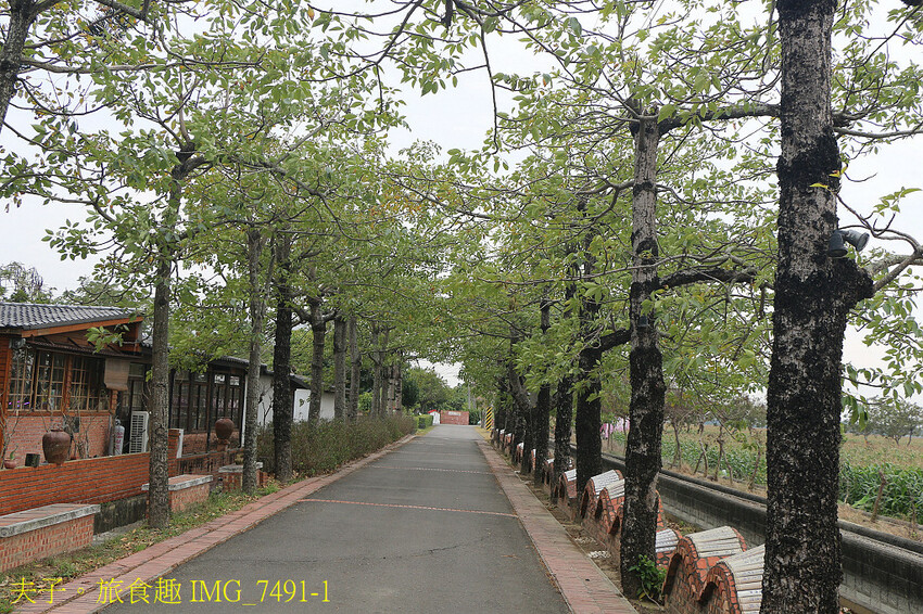 鹽水小鎮輕旅行 番茄採果 X 鹽水意麵 X 鹽水武廟 X 台 鹽水小鎮輕旅行 番茄採果 X 鹽水意麵 X 鹽水武廟 X 台