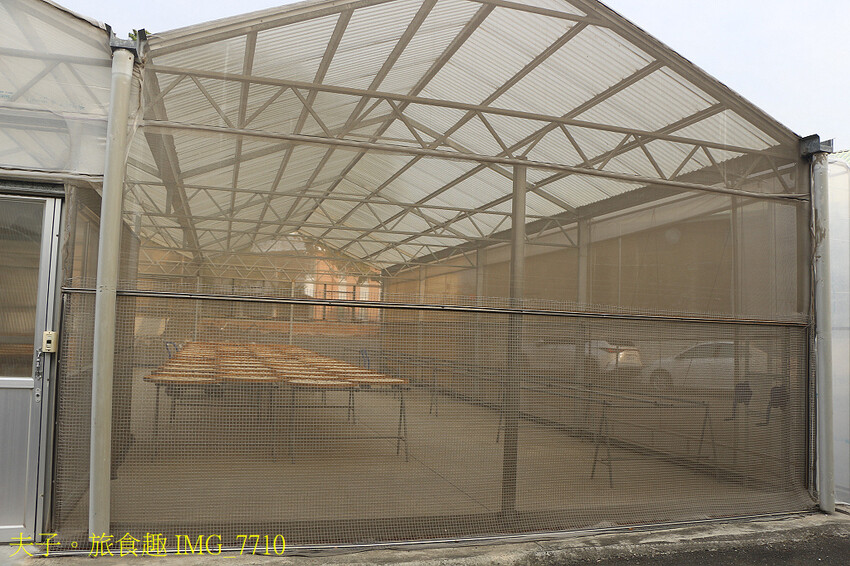 鹽水小鎮輕旅行 番茄採果 X 鹽水意麵 X 鹽水武廟 X 台 鹽水小鎮輕旅行 番茄採果 X 鹽水意麵 X 鹽水武廟 X 台