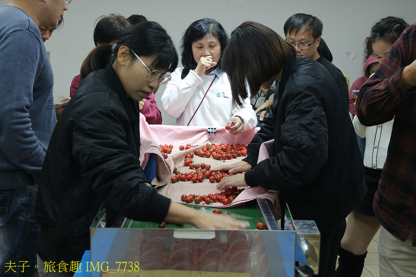 鹽水小鎮輕旅行 番茄採果 X 鹽水意麵 X 鹽水武廟 X 台 鹽水小鎮輕旅行 番茄採果 X 鹽水意麵 X 鹽水武廟 X 台