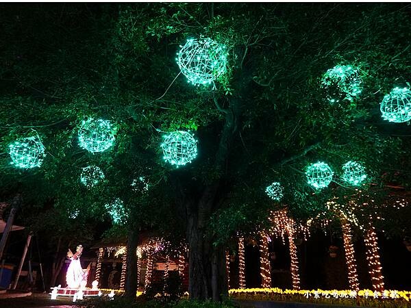 2024-石崗花漾藝術燈節 (11).jpg