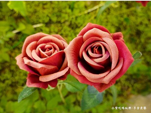 2024-石崗花漾藝術燈節 (10).jpg