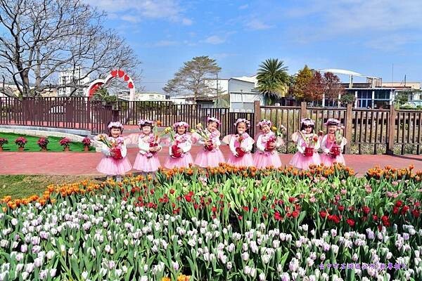 2024石岡鬱金香花展-石岡區公所 (2).jpg