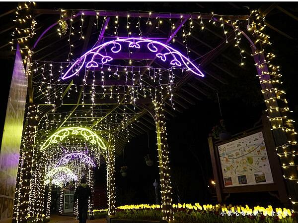 通往夢想的路上-石崗花漾藝術燈節 (3).jpg