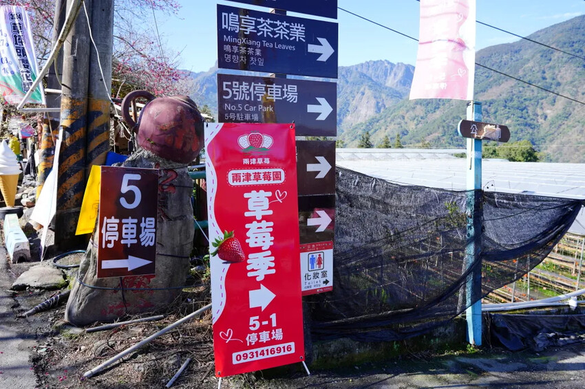 南投縣信義鄉兩津草莓園｜草坪頭園區唯一草莓園，來買草莓和吃草莓冰淇淋喔！