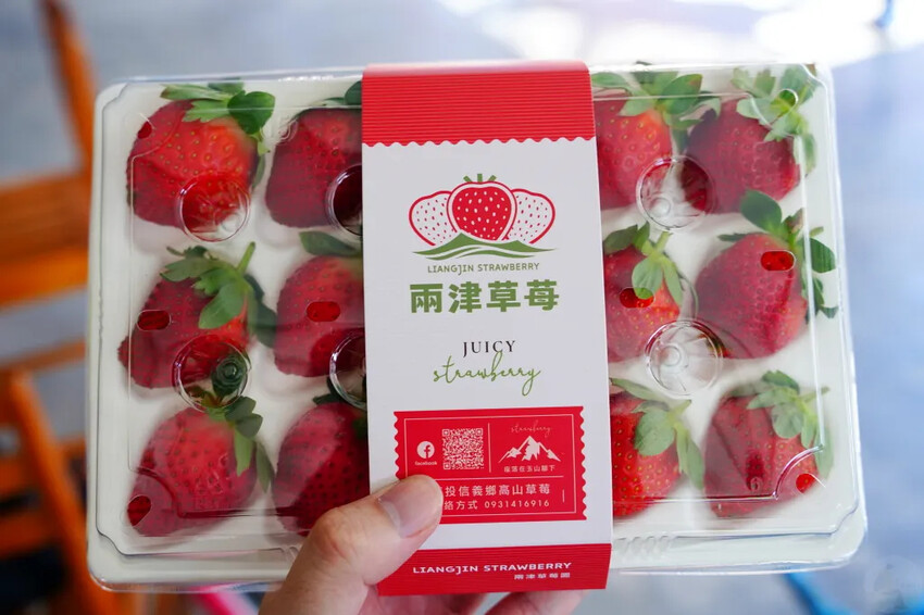 南投縣信義鄉兩津草莓園｜草坪頭園區唯一草莓園，來買草莓和吃草莓冰淇淋喔！