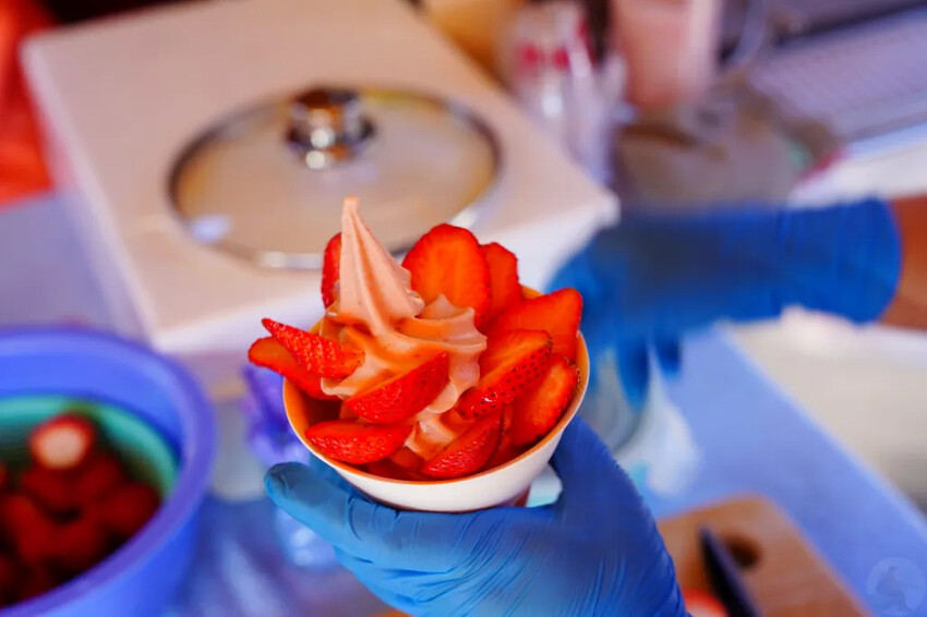 南投縣信義鄉兩津草莓園｜草坪頭園區唯一草莓園，來買草莓和吃草莓冰淇淋喔！