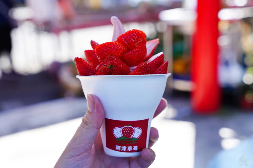 南投縣信義鄉兩津草莓園｜草坪頭園區唯一草莓園，來買草莓和吃草莓冰淇淋喔！