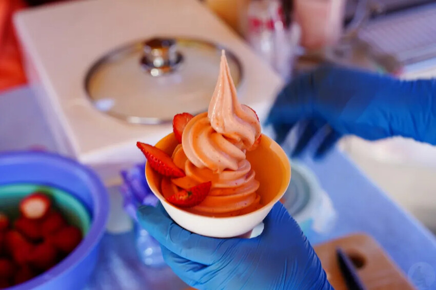 南投縣信義鄉兩津草莓園｜草坪頭園區唯一草莓園，來買草莓和吃草莓冰淇淋喔！