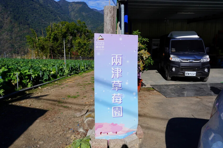 南投縣信義鄉兩津草莓園｜草坪頭園區唯一草莓園，來買草莓和吃草莓冰淇淋喔！