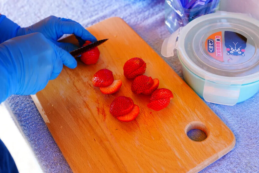 南投縣信義鄉兩津草莓園｜草坪頭園區唯一草莓園，來買草莓和吃草莓冰淇淋喔！