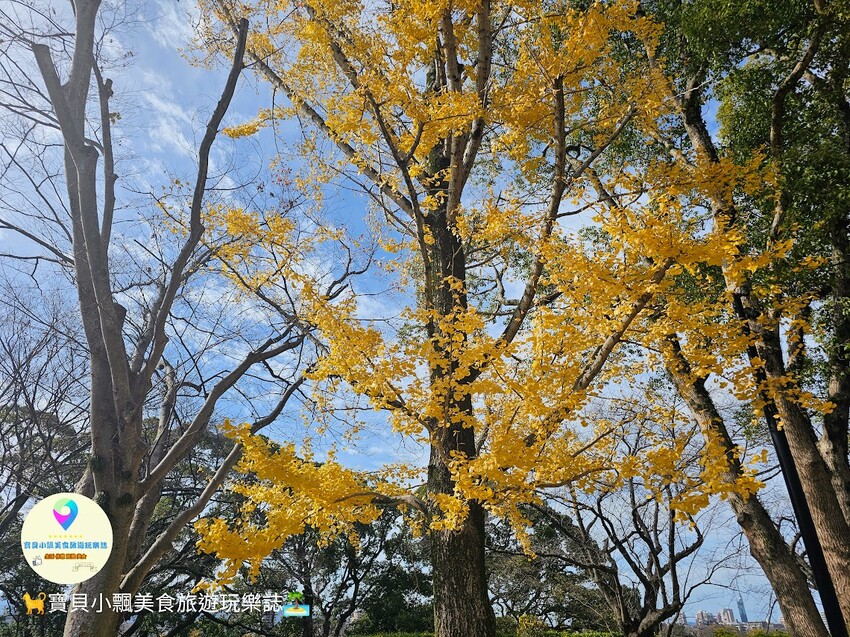 日本[旅遊]日本 福岡 舞鶴公園_福岡城跡
