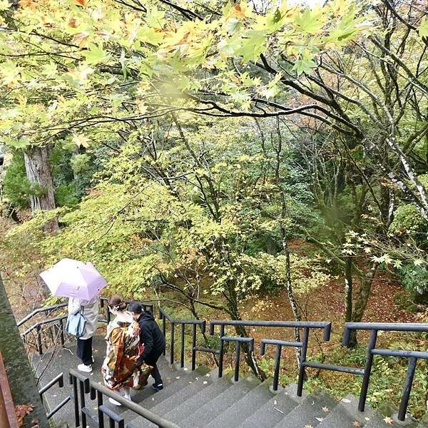 日本日本北陸旅遊/日本JR新幹線北陸段之旅/11-12月楓紅時推薦可以來米其林推薦的絕美紅葉/千年美麗的古寺-那谷