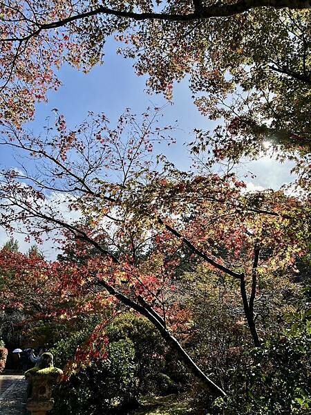 日本日本北陸旅遊/日本JR新幹線北陸段之旅/11-12月楓紅時推薦可以來米其林推薦的絕美紅葉/千年美麗的古寺-那谷