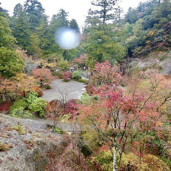 日本日本北陸旅遊/日本JR新幹線北陸段之旅/11-12月楓紅時推薦可以來米其林推薦的絕美紅葉/千年美麗的古寺-那谷