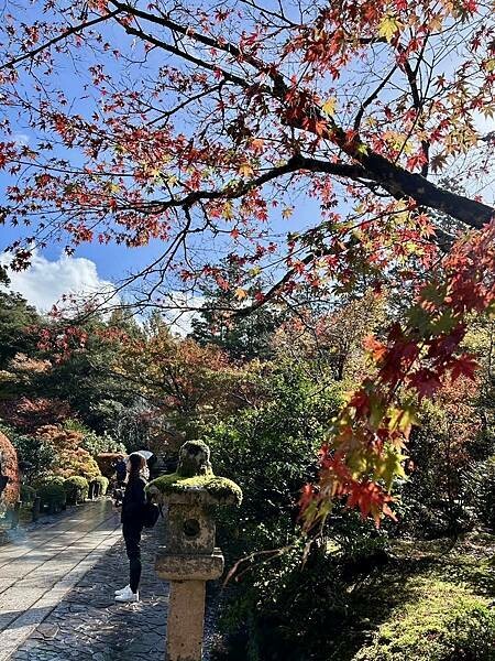 日本日本北陸旅遊/日本JR新幹線北陸段之旅/11-12月楓紅時推薦可以來米其林推薦的絕美紅葉/千年美麗的古寺-那谷
