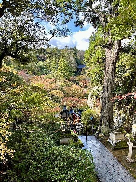 日本日本北陸旅遊/日本JR新幹線北陸段之旅/11-12月楓紅時推薦可以來米其林推薦的絕美紅葉/千年美麗的古寺-那谷