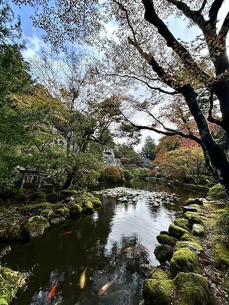 日本日本北陸旅遊/日本JR新幹線北陸段之旅/11-12月楓紅時推薦可以來米其林推薦的絕美紅葉/千年美麗的古寺-那谷