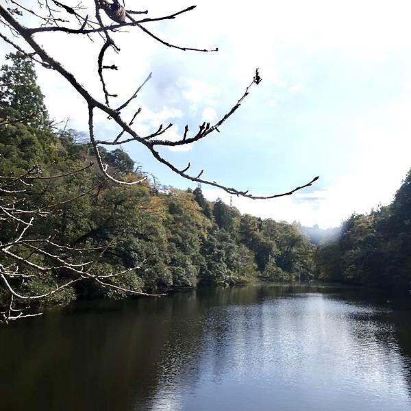 日本日本北陸旅遊/日本JR新幹線北陸段之旅/11-12月楓紅時推薦可以來米其林推薦的絕美紅葉/千年美麗的古寺-那谷