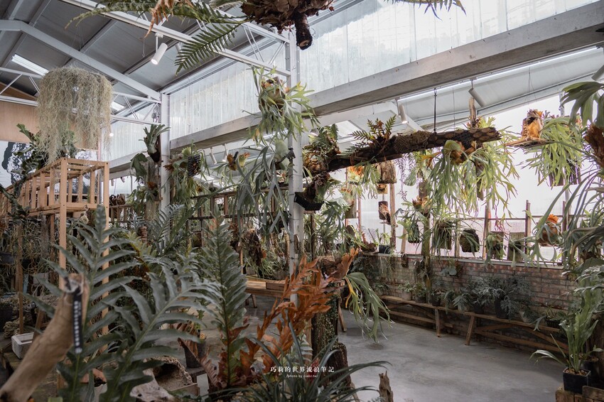 漫遊嘉義162觀光軸線｜串聯大林、梅山太平一日四季五感體驗，品文學賞梅花，沐浴雲海茶香，特色民宿兩天一夜這樣玩！