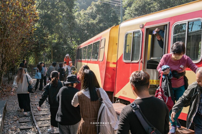 漫遊嘉義162觀光軸線｜串聯大林、梅山太平一日四季五感體驗，品文學賞梅花，沐浴雲海茶香，特色民宿兩天一夜這樣玩！