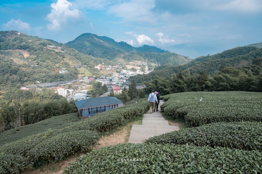 漫遊嘉義162觀光軸線｜串聯大林、梅山太平一日四季五感體驗，品文學賞梅花，沐浴雲海茶香，特色民宿兩天一夜這樣玩！