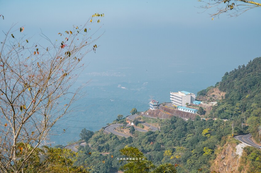 漫遊嘉義162觀光軸線｜串聯大林、梅山太平一日四季五感體驗，品文學賞梅花，沐浴雲海茶香，特色民宿兩天一夜這樣玩！