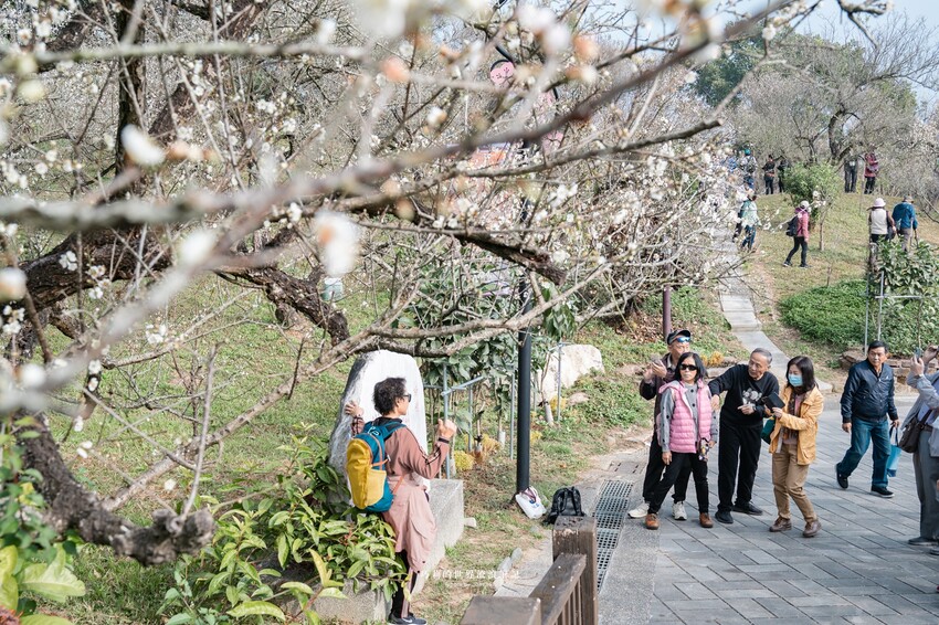 漫遊嘉義162觀光軸線｜串聯大林、梅山太平一日四季五感體驗，品文學賞梅花，沐浴雲海茶香，特色民宿兩天一夜這樣玩！