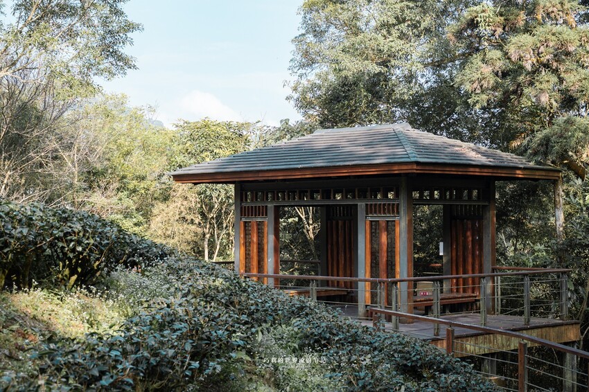 漫遊嘉義162觀光軸線｜串聯大林、梅山太平一日四季五感體驗，品文學賞梅花，沐浴雲海茶香，特色民宿兩天一夜這樣玩！