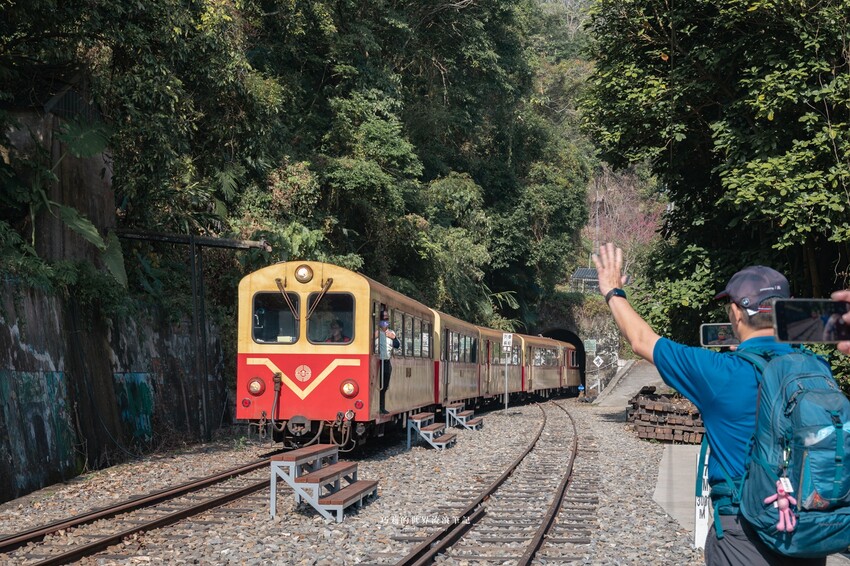 漫遊嘉義162觀光軸線｜串聯大林、梅山太平一日四季五感體驗，品文學賞梅花，沐浴雲海茶香，特色民宿兩天一夜這樣玩！