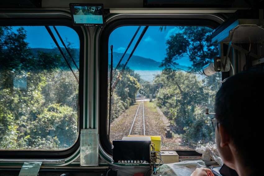 漫遊嘉義162觀光軸線｜串聯大林、梅山太平一日四季五感體驗，品文學賞梅花，沐浴雲海茶香，特色民宿兩天一夜這樣玩！