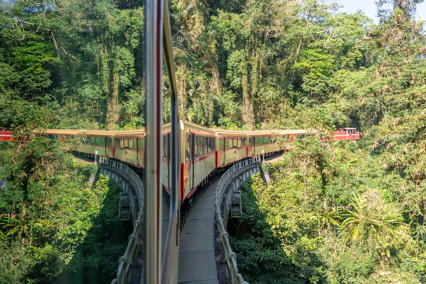 漫遊嘉義162觀光軸線｜串聯大林、梅山太平一日四季五感體驗，品文學賞梅花，沐浴雲海茶香，特色民宿兩天一夜這樣玩！