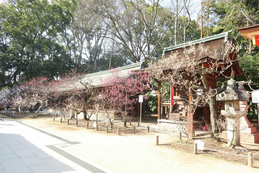 日本可愛動物御神籤、追星必去車折神社，還有…？京都8家必去特色寺廟與神社
