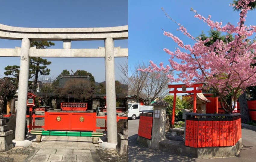 日本可愛動物御神籤、追星必去車折神社，還有…？京都8家必去特色寺廟與神社