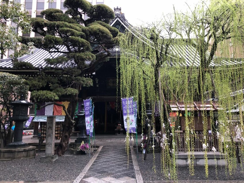日本可愛動物御神籤、追星必去車折神社，還有…？京都8家必去特色寺廟與神社