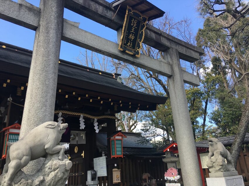 日本可愛動物御神籤、追星必去車折神社，還有…？京都8家必去特色寺廟與神社