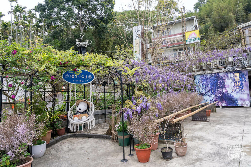 瑞里紫藤花季 | 阿里山紫藤花季不能錯過瑞里！超多花點讓你一路拍不完～ | 捲毛阿偉