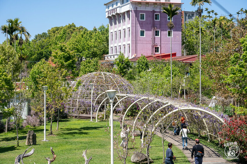 瑞里紫藤花季 | 阿里山紫藤花季不能錯過瑞里！超多花點讓你一路拍不完～ | 捲毛阿偉
